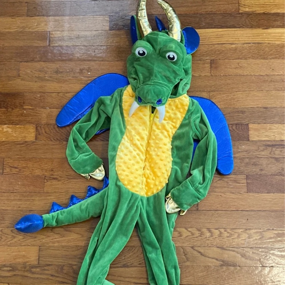 Cute Dragon Costume!